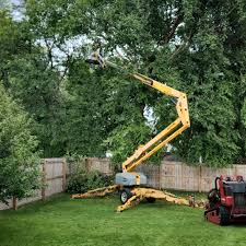 Reliable Chestnut Ridge, NY Tree Care Services Solutions